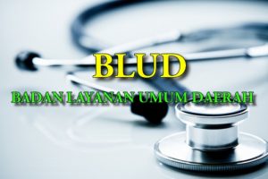 PENYUSUNAN TARIF DAN REMUNERASI BLU/BLUD