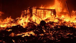 TRAINING ONLINE PENCEGAHAN DAN PENANGGULANGAN BAHAYA KEBAKARAN