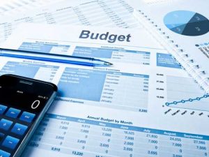 TRAINING ONLINE STRATEGIC PLANNING AND EFFECTIVE CORPORATE BUDGETING