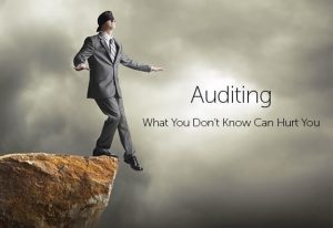 TRAINING ONLINE RISK-BASED AUDIT: INTERNAL AUDIT BERBASIS RISIKO