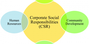 TRAINING ONLINE EFFECTIVE CSR MANAGEMENT
