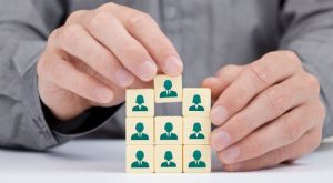 TRAINING ONLINE HUMAN CAPITAL MANAGEMENT AND DEVELOPMENT