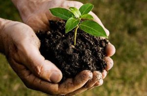 TRAINING ONLINE PEMANTAUAN DAN PENGELOLAAN LINGKUNGAN