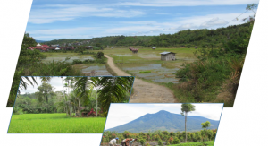 TRAINING ONLINE PERENCANAAN DAN EVALUASI PELAKSANAAN RPJMD DAN RKPD