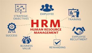 TRAINING ONLINE PREPARATION FOR HUMAN RESOURCES MANAGEMENT SERTIFICATION