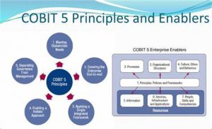 TRAINING ONLINE COBIT COURSE FOUNDATION
