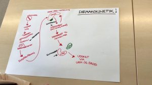 TRAINING ONLINE FARMAKOKINETIK DAN FARMAKODINAMIK