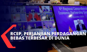 TRAINING ONLINE PERDAGANGAN BEBAS