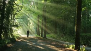 TRAINING ONLINE WEBINAR KEBERMAKNAAN HIDUP