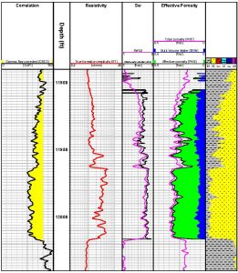 TRAINING ONLINE QUANTITATIVE LOG ANALYSIS AND PETROPHYSICS