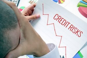 TRAINING ONLINE CREDIT RISK MODELING