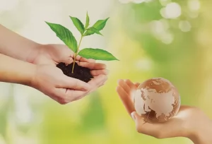 TRAINING ONLINE CONTINOUS IMPROVEMENT OF CORPORATE SOCIAL RESPONSIBILITY