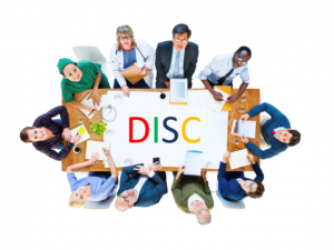 TRAINING ONLINE EXPANDED DISC POWERFUL TOOLS FOR RECRUITMENT, SELECTION, PLACEMENT, PROMOTION, TEAM BUILDING, CAREER PLANNING & IMPROVING