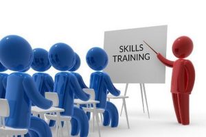 TRAINING ONLINE COMPREHENSIVE TRAINING PROGRAM FOR THE TRAINER