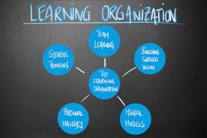 TRAINING ONLINE BUILDING A LEARNING ORGANIZATION