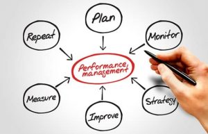 TRAINING ONLINE STRATEGIC PERFORMANCE MANAGEMENT: PLAN, EXECUTE, MONITOR & REVIEW