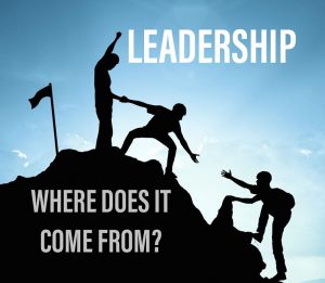 TRAINING ONLINE WORKSHOP LEADERSHIP