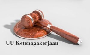 TRAINING ONLINE PEMAHAMAN UU NO.13/2003 KETENAGAKERJAAN