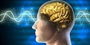 pelatihan alpha learning facilitator di jakarta