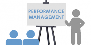 pelatihan Individual Performance Management online