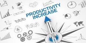 pelatihan online WORKPLACE PRODUCTIVITY IMPROVEMENT