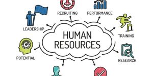pelatihan online world class human resources management