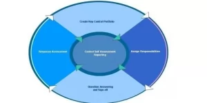 TRAINING ONLINE CONTROL SELF ASSESSMENT (CSA)