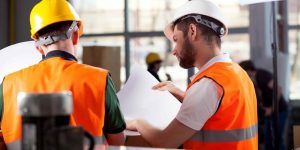 TRAINING ONLINE IMPLEMENTING HSE AUDIT SYSTEM