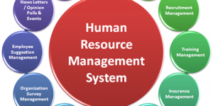 TRAINING ONLINE STRATEGIC COMPETENCY-BASED HUMAN RESOURCE MANAGEMENT