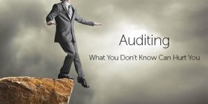 TRAINING ONLINE RISK-BASED AUDIT: INTERNAL AUDIT BERBASIS RISIKO