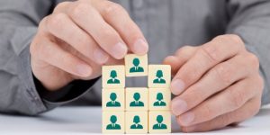 TRAINING ONLINE HUMAN CAPITAL MANAGEMENT AND DEVELOPMENT