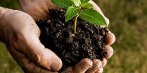 TRAINING ONLINE PEMANTAUAN DAN PENGELOLAAN LINGKUNGAN