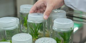 TRAINING ONLINE KULTUR JARINGAN SKALA RUMAH TANGGA