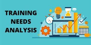 TRAINING ONLINE TRAINING NEED ANALYSIS