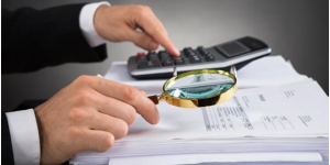 TRAINING ONLINE RISK BASED AUDIT