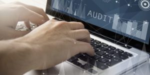 TRAINING ONLINE MEKANISME PROBITY AUDIT ATAS PROSES PENGADAAN BARANG/JASA PEMERINTAH