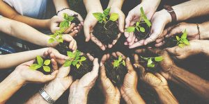 TRAINING ONLINE CSR & BAGAIMANA MENGELOLA CSR PERUSAHAAN SECARA EFEKTIF