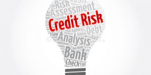 TRAINING ONLINE CREDIT RISK, RECEIVABLE & CORP. COLLECTION MANAGEMENT
