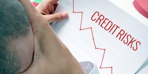 TRAINING ONLINE CREDIT RISK MODELING