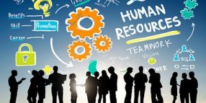 TRAINING ONLINE BASIC HUMAN RESOURCE MANAGEMENT