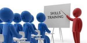 TRAINING ONLINE COMPREHENSIVE TRAINING PROGRAM FOR THE TRAINER