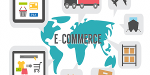 TRAINING ONLINE E-BANKING AND E-COMMERCE FRAUD OPERATIONAL RISK