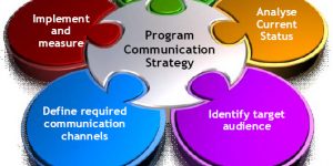 TRAINING ONLINE DEVELOPING AN EFFECTIVE GOVERNMENT COMMUNICATION STRATEGY