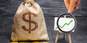 TRAINING ONLINE ANGGARAN INVESTASI