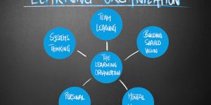 TRAINING ONLINE BUILDING A LEARNING ORGANIZATION