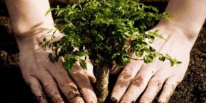 TRAINING ONLINE KOMUNIKASI LINGKUNGAN