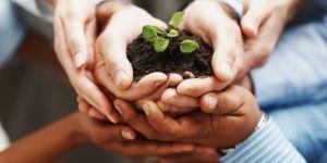 MONITORING DAN EVALUASI PLAN CSR