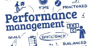 TRAINING ONLINE INDIVIDUAL PERFORMANCE MANAGEMENT